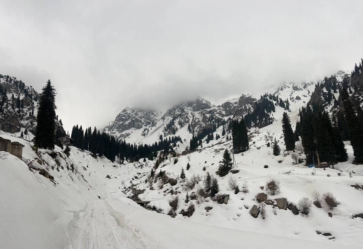 Автобус| Зимнее великолепие гор Кавказа: в гостях у природы, снега и гостеприимства из Чебоксар