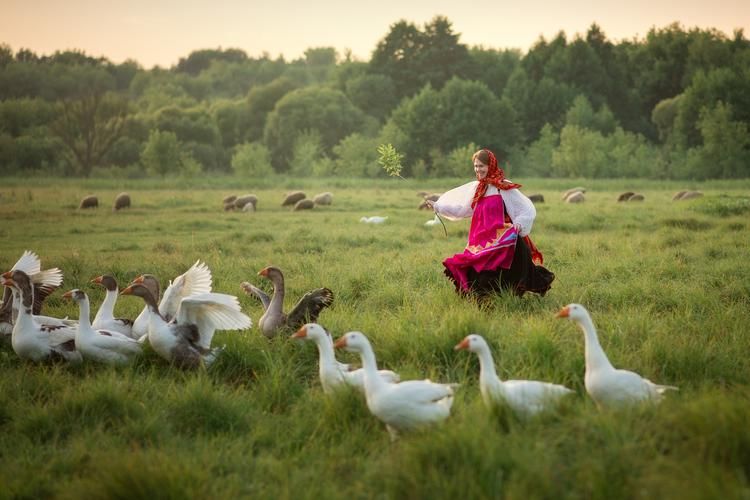 Плёс душа России с мини круизом Кинешма - Плёс