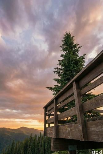 Белокуриха в летнем убранстве