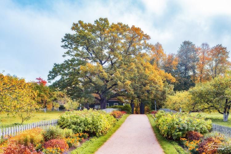Усадьбы великих людей