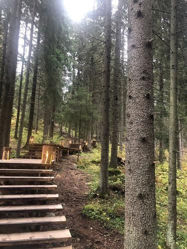 Автобус | Карелия до самого Белого моря (Соловки - Петроглифы) (промо)