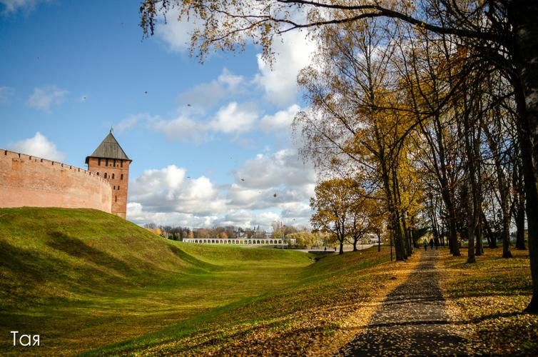 Там, где тишина — главный экспонат