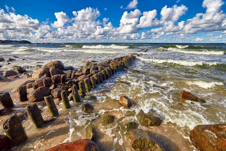 Куршский залив: жизнь на другом берегу