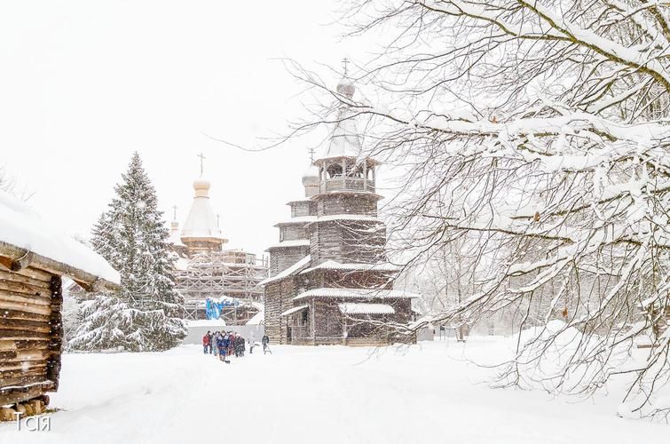 Поезд| Сказочное путешествие к Деду Морозу