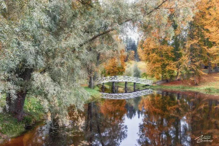 Автобус| Псков и Великий Новгород