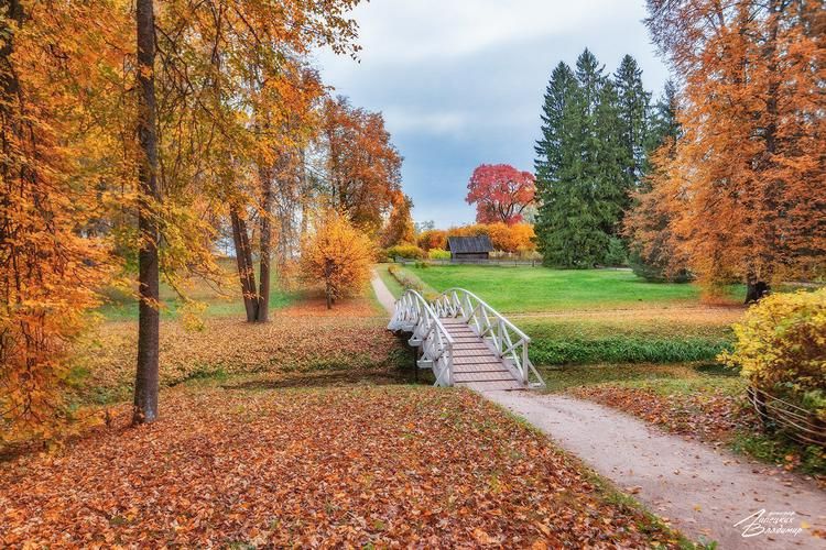 Автобус| Усадьбы Пскова: вдохновение в камне