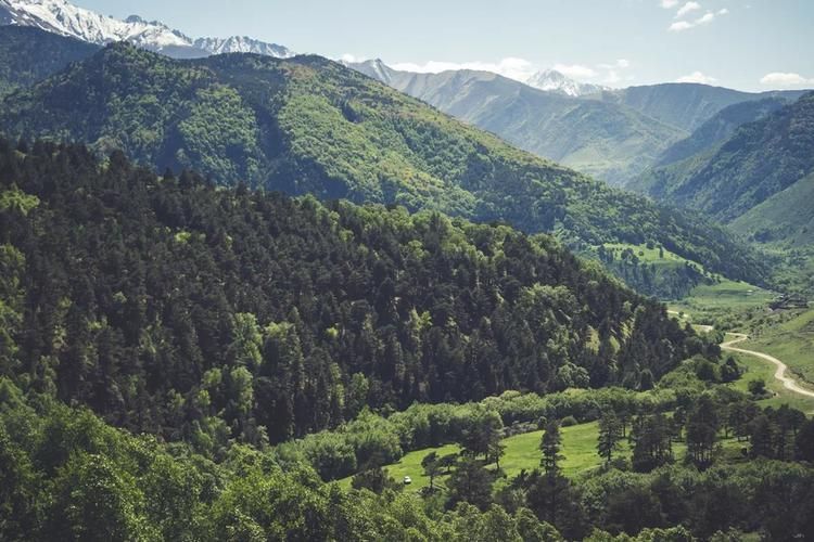 В Узбекистан на 4 дня