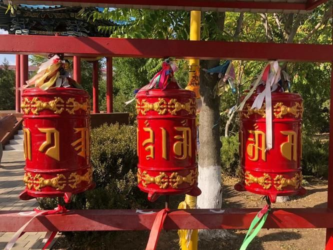 Степь зовёт: тур в волшебную Калмыкию