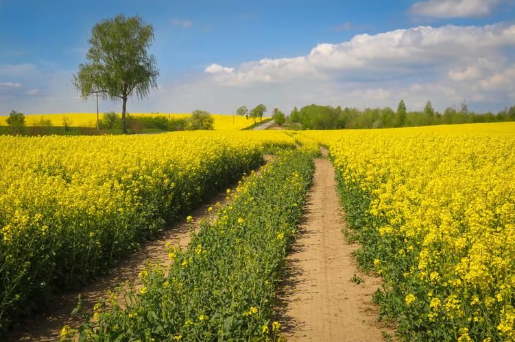 Велотур по Калининградской области - Новые маршруты