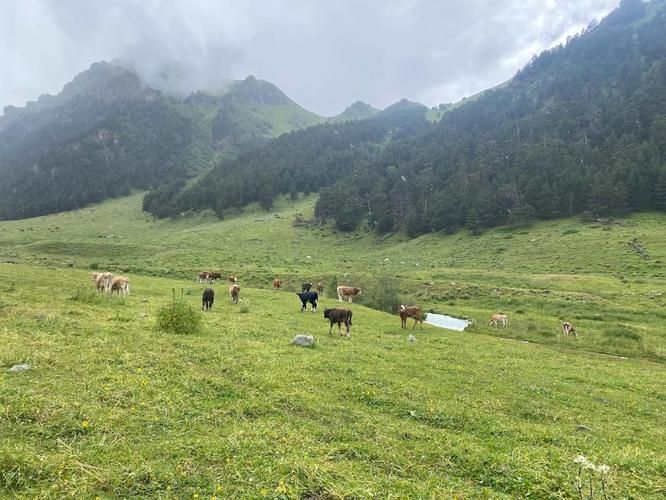 Автобус| Кавказские души: от Осетии до гор Ингушетии из Пензы