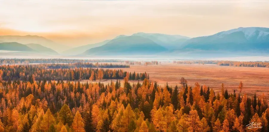 Автобус| Кавказ 2.0