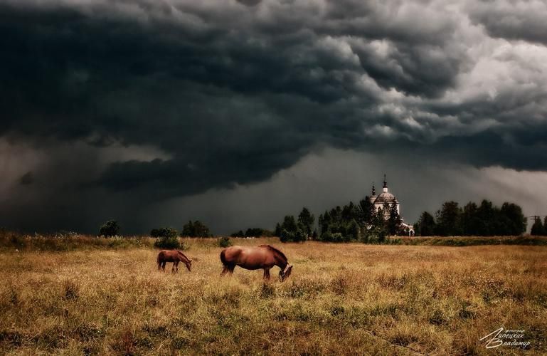 Вулканическая Камчатка