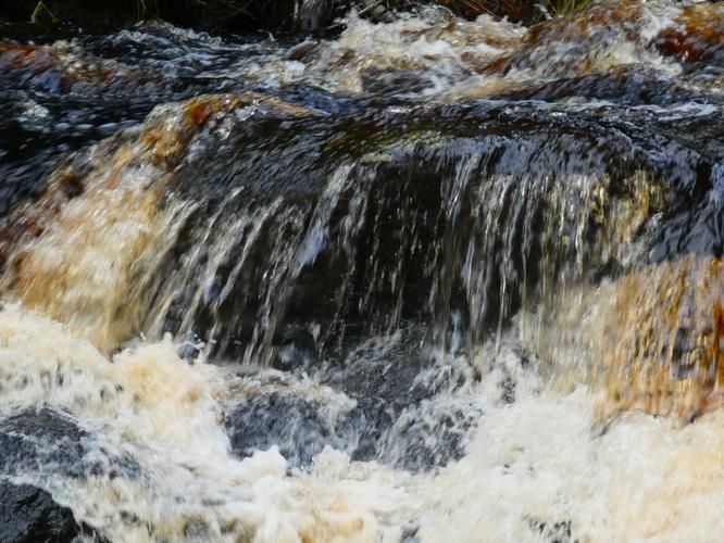 Автобус | Карелия: где озёра спят под северным сиянием из Твери