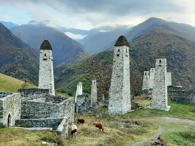 Автобус| Отпуск в горах