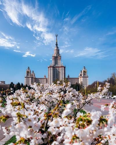 Весенний парад: встречаем Первомай в столице