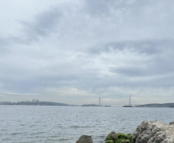 Открытие Владивостока