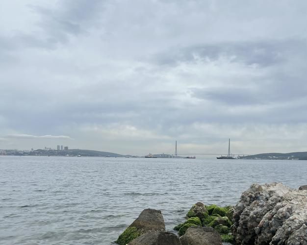 Морские каникулы