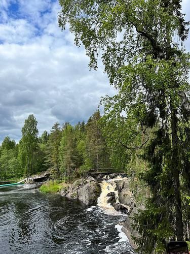 Автобус| Астрахань. Цветение лотоса из Екатеринбурга