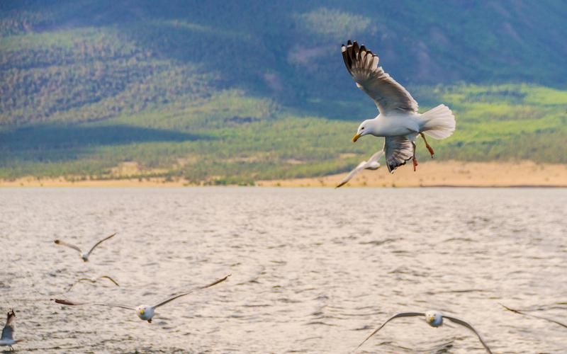 Тельняшка и волны: незабываемый морской отдых