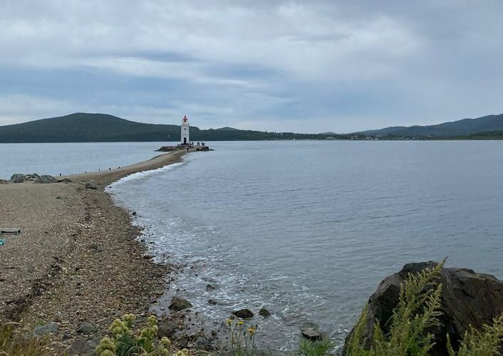 Морские каникулы