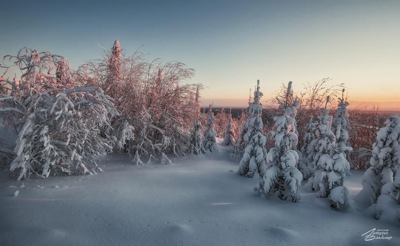 Китовое сафари в Териберке