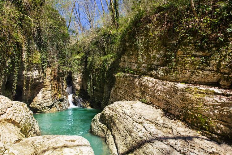 Автобус| Сочи в новогоднем настроении из Казани