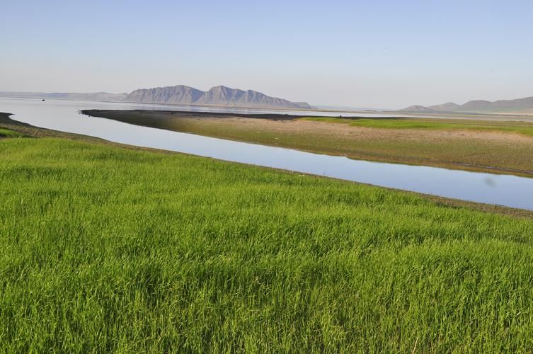 Лёгкий путь к дикой природе