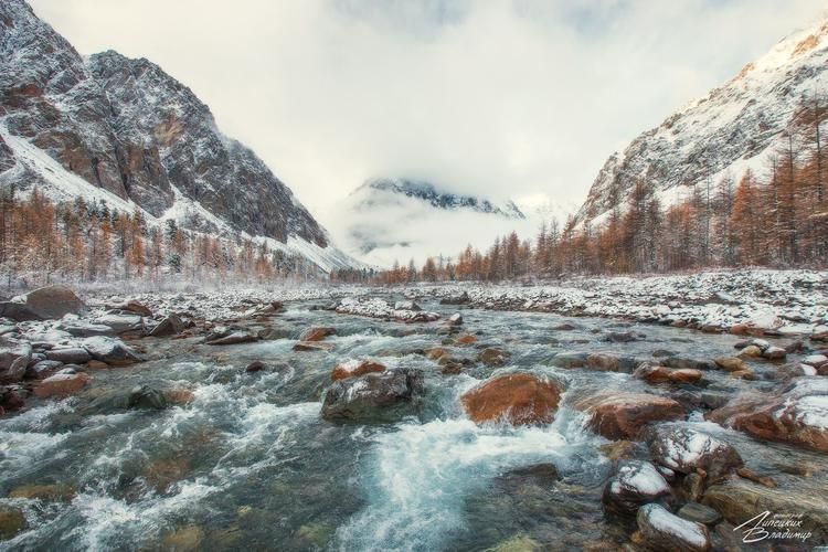 Автобус| Зима на Кавказе: новогоднее вдохновение