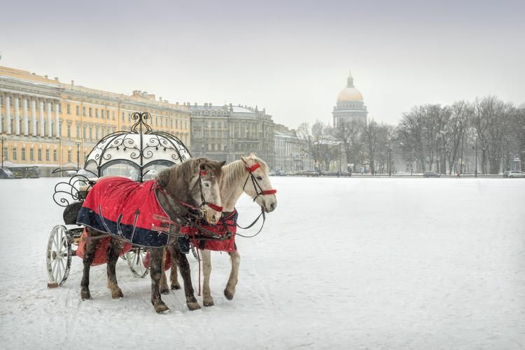 Автобус| Сказка на Неве: Новогоднее путешествие из Нижнего Новгорода