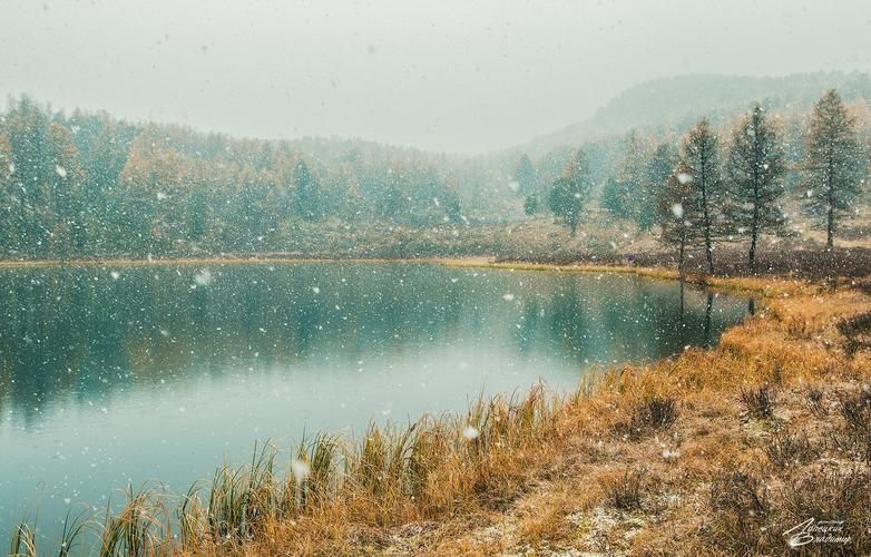 Белокуриха в летнем убранстве