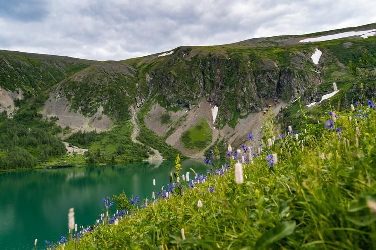 Сибирь без расписания