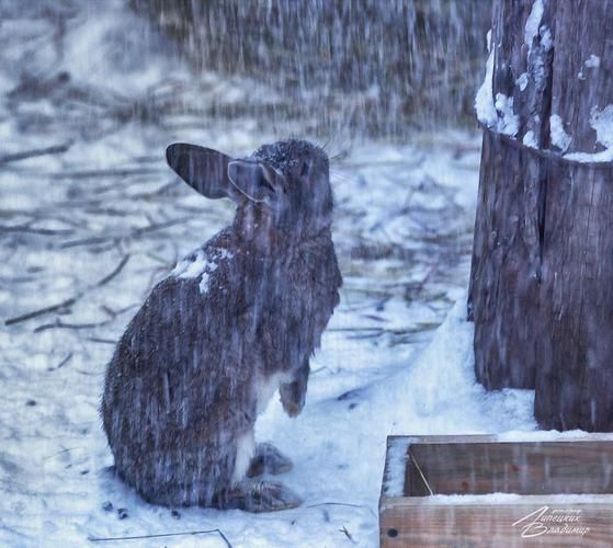 Автобус| Новогодний калейдоскоп: ремёсла, кремли и ярмарки из Твери