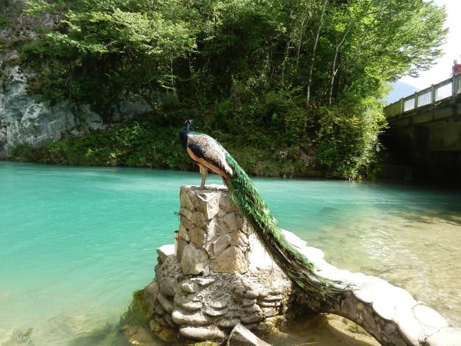 Абхазская симфония 5 дней