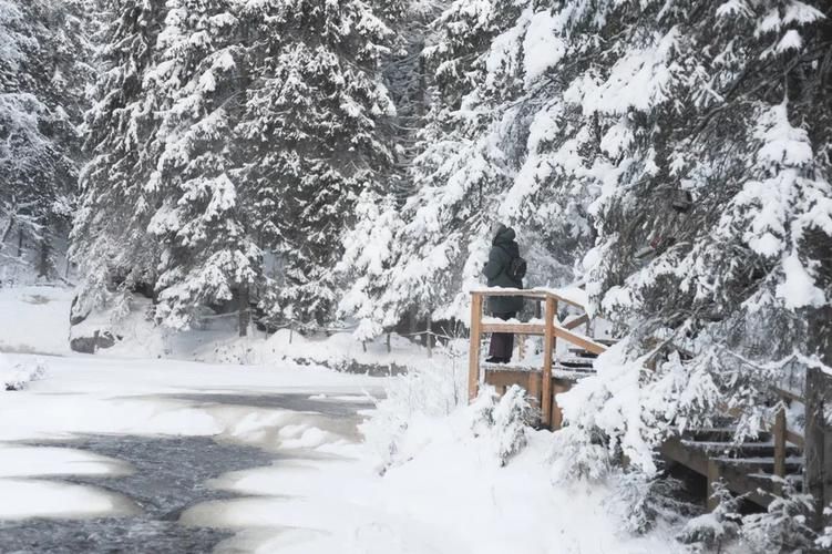 Автобус| Новогоднее путешествие в Карелию: Ладожские шхеры, мраморные каньоны и викинги