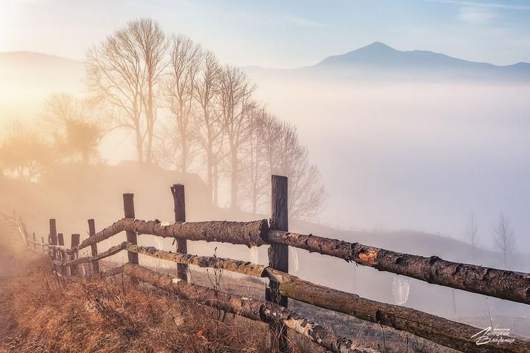 Автобус| Две страны — один маршрут из Пензы