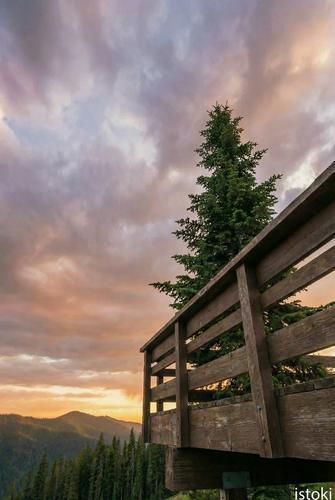 Крылья Алтая: экспресс‑тур