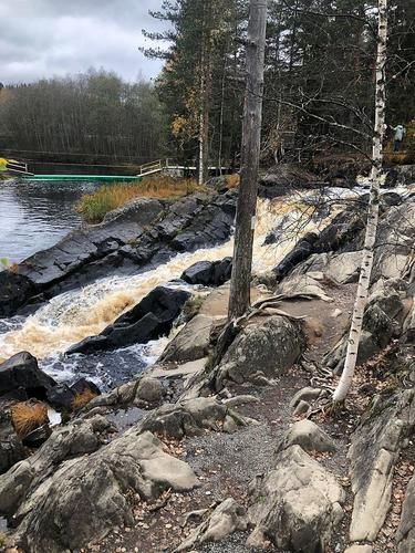 Автобус | Карелия до самого Белого моря (Соловки - Петроглифы) (промо)