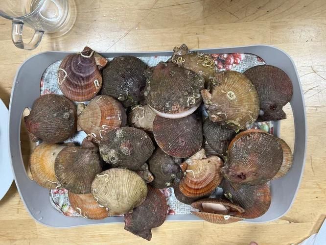 Заполярный рубеж: Средний и Рыбачий за три дня