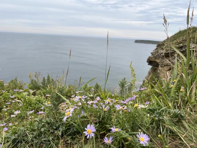 Семейное путешествие: открываем Владивосток вместе