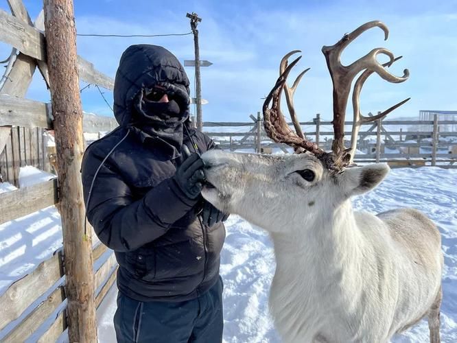 Новый год под северным сиянием