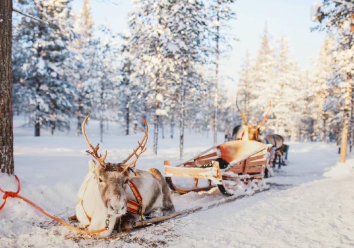 Карельские праздники: встреча 2026 года