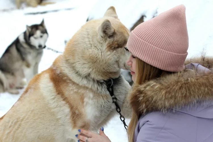 Сказочные приключения на Новый год