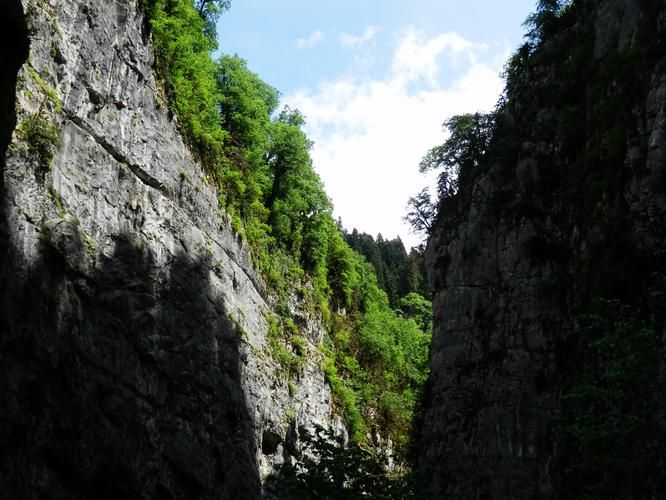 Абхазия: когда природа играет